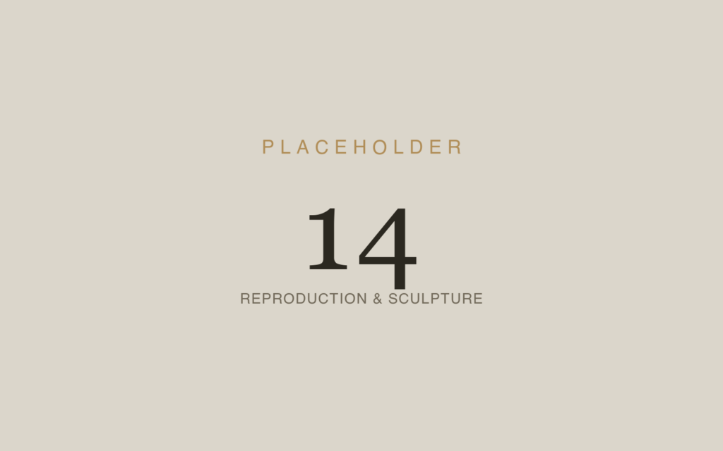 Architectural Reproduction, Casting & Sculpture Fabrication